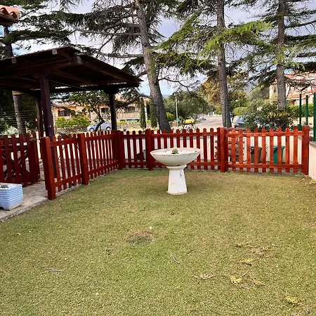 La Cinta 5